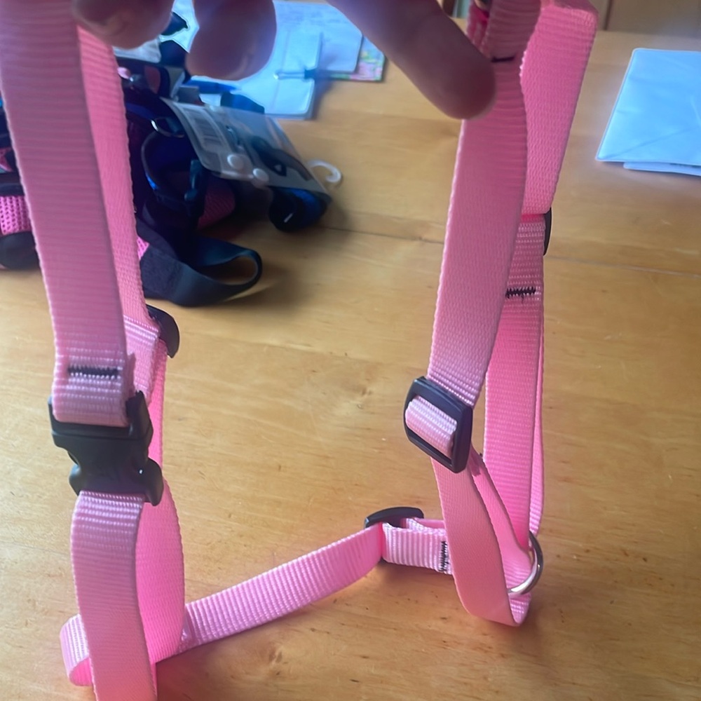 Lupine Roman Harness 3/4in 20-32”